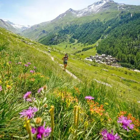 Chamois Blanc 1 - Haven Apartamento
